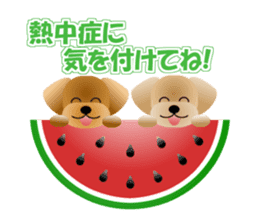 Cute! Toy Poodle 2 sticker #12152695