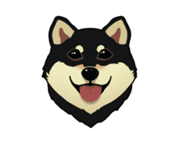 Maru the Shiba Inu sticker #12154374