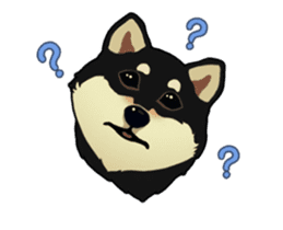 Maru the Shiba Inu sticker #12154376