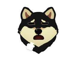 Maru the Shiba Inu sticker #12154380
