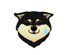 Maru the Shiba Inu sticker #12154382