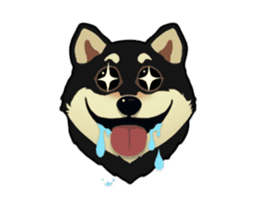 Maru the Shiba Inu sticker #12154383