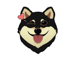 Maru the Shiba Inu sticker #12154386