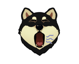 Maru the Shiba Inu sticker #12154390