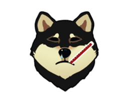Maru the Shiba Inu sticker #12154391