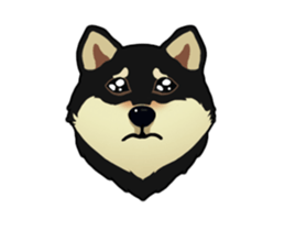 Maru the Shiba Inu sticker #12154392