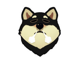 Maru the Shiba Inu sticker #12154397