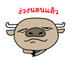 nong-buff and look-chin sticker #12154441