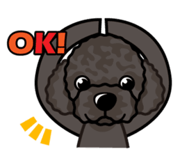 iinu - Portuguese Water Dog sticker #12158810