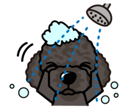 iinu - Portuguese Water Dog sticker #12158832