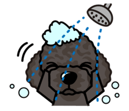 iinu - Portuguese Water Dog sticker #12158832