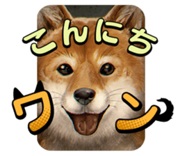 Shin Hayarigami2 Stickers file:01 sticker #12161053