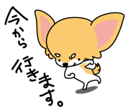 Cute Chiwawa Sticker sticker #12162476