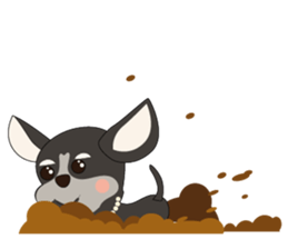 Love Dog House : Chihuahua sticker #12162721