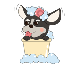 Love Dog House : Chihuahua sticker #12162723