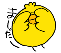 piyo. sticker #12165365