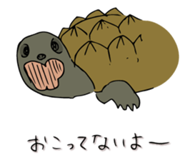 Tortoise Mr. Part 3 sticker #12166028
