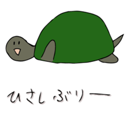 Tortoise Mr. Part 3 sticker #12166043