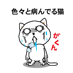 Cats have a lot of disease