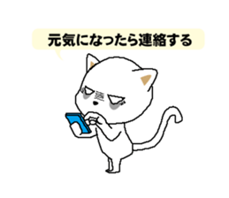 Cats have a lot of disease sticker #12166311