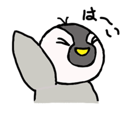 penguin chicks sticker #12167537