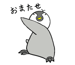 penguin chicks sticker #12167563