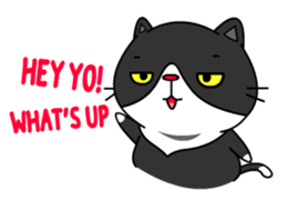 BOBO - Fat Cat (English version) sticker #12168974