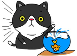 BOBO - Fat Cat (English version) sticker #12169013