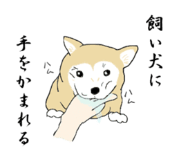 Japanese Proverb of animal sticker #12169215
