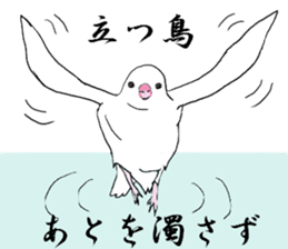 Japanese Proverb of animal sticker #12169237