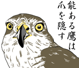 Japanese Proverb of animal sticker #12169238