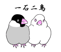 Japanese Proverb of animal sticker #12169243