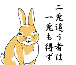 Japanese Proverb of animal sticker #12169247