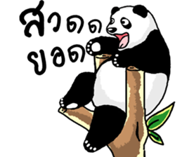 Panda Heyhaa sticker #12171828