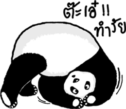 Panda Heyhaa sticker #12171841