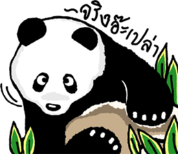 Panda Heyhaa sticker #12171846