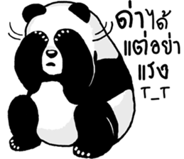 Panda Heyhaa sticker #12171851