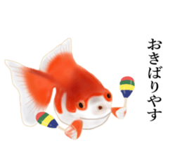 Real Goldfish dally sticker #12171984
