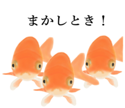 Real Goldfish dally sticker #12171985