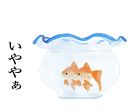 Real Goldfish dally sticker #12171989