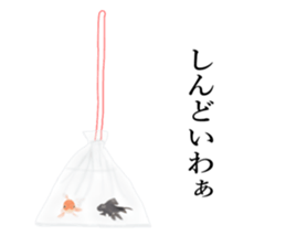 Real Goldfish dally sticker #12171996