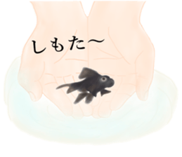 Real Goldfish dally sticker #12172000