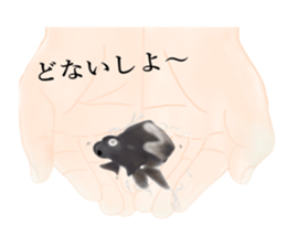 Real Goldfish dally sticker #12172001