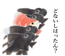 Real Goldfish dally sticker #12172004