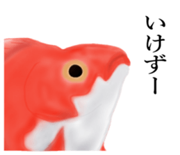 Real Goldfish dally sticker #12172007