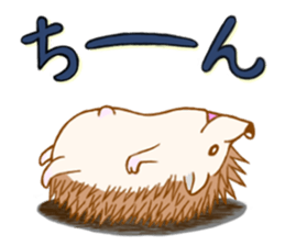 Feeling of the hedgehog sticker #12173893