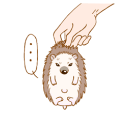Feeling of the hedgehog sticker #12173898