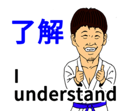 BJJ Academy Sticker (English version) sticker #12174612