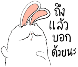 The Fluffy Fatty Rabbit sticker #12176459