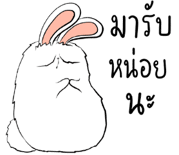 The Fluffy Fatty Rabbit sticker #12176472